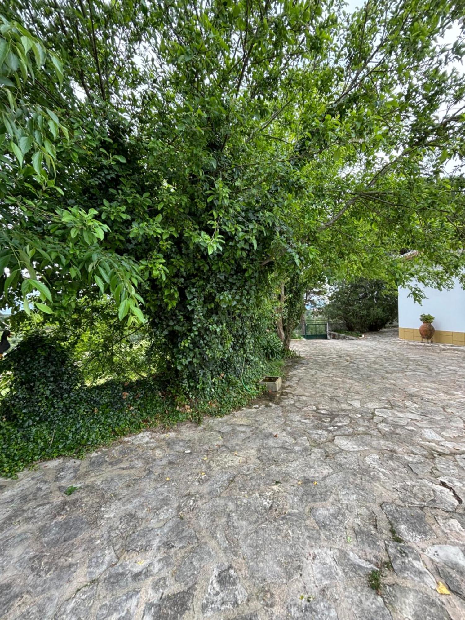 Casa Da Nogueira Villa Tomar Eksteriør bilde