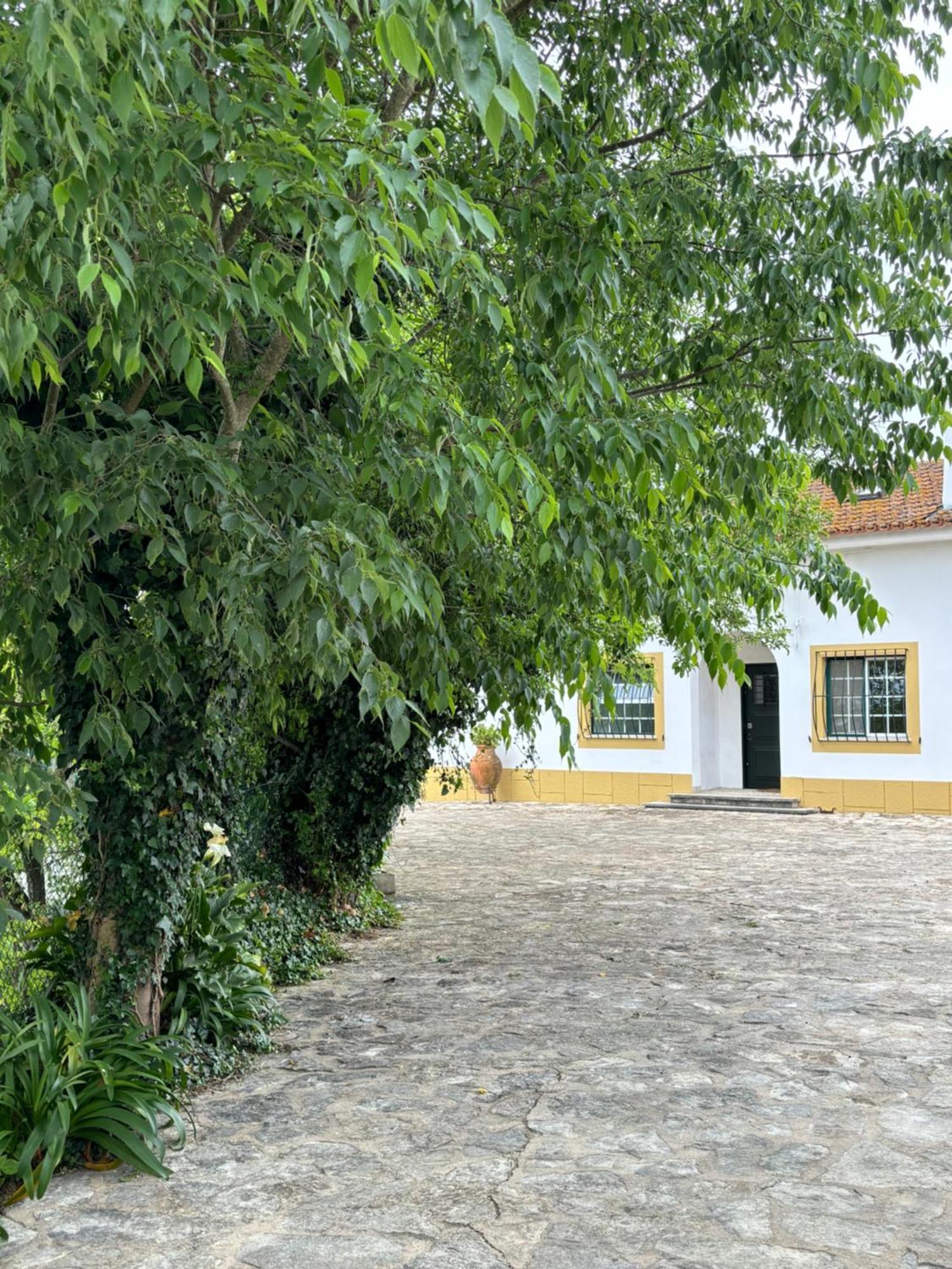 Casa Da Nogueira Villa Tomar Eksteriør bilde