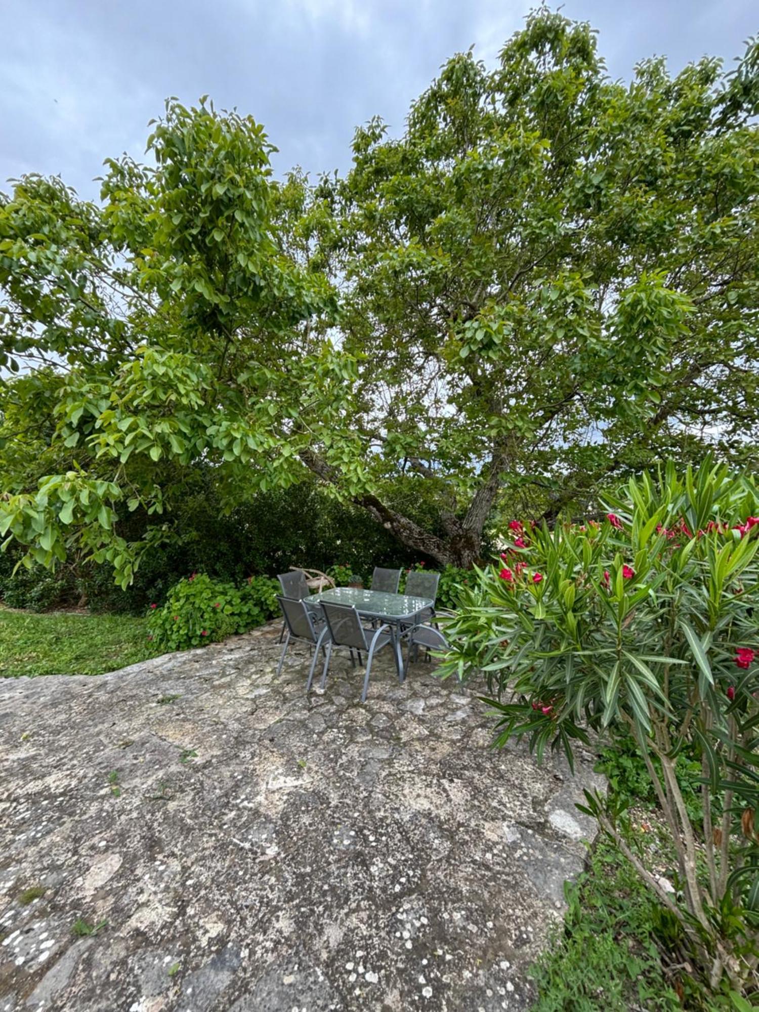 Casa Da Nogueira Villa Tomar Eksteriør bilde
